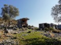 IMG_20201117_105333.jpeg