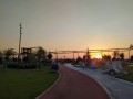 IMG_20200630_201248.jpg