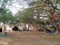 IMG_20201118_092308.jpeg